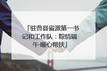 驻曹县省派第一书记和工作队：粽情端午·暖心帮扶