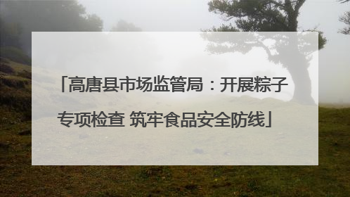 高唐县市场监管局：开展粽子专项检查 筑牢食品安全防线