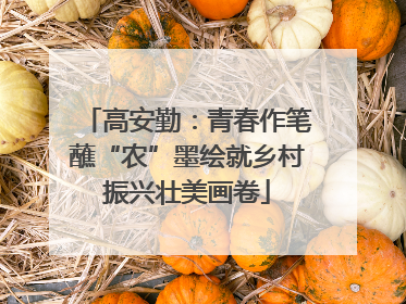 高安勤：青春作笔蘸“农”墨绘就乡村振兴壮美画卷