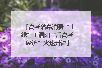 高考落幕消费“上线”！泗阳“后高考经济”火速升温