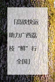 高铁快运助力广西荔枝“鲜”行全国