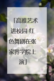 高雅艺术进校园 红色舞剧在张家界学院上演