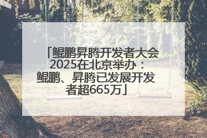 鲲鹏昇腾开发者大会2025在北京举办：鲲鹏、昇腾已发展开发者超665万