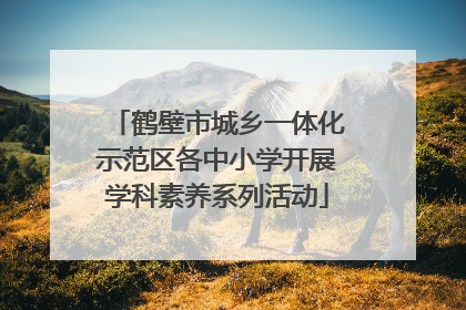 鹤壁市城乡一体化示范区各中小学开展学科素养系列活动