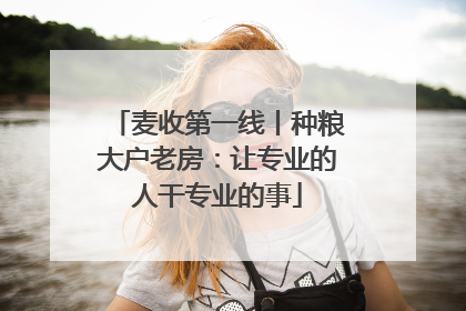 麦收第一线丨种粮大户老房：让专业的人干专业的事
