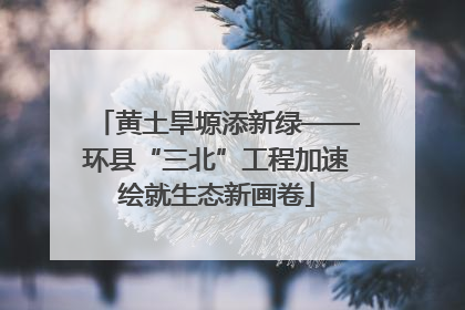 黄土旱塬添新绿——环县“三北”工程加速绘就生态新画卷