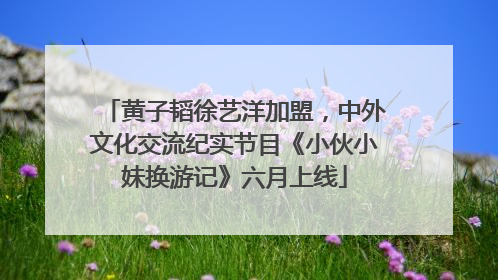 黄子韬徐艺洋加盟，中外文化交流纪实节目《小伙小妹换游记》六月上线