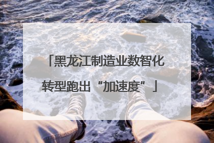 黑龙江制造业数智化转型跑出“加速度”