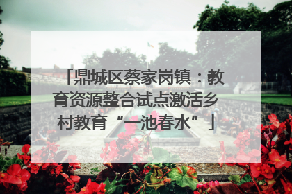 鼎城区蔡家岗镇：教育资源整合试点激活乡村教育“一池春水”