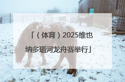 （体育）2025维也纳多瑙河龙舟赛举行