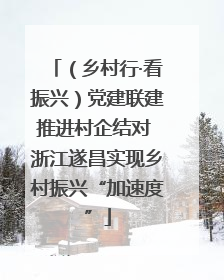 （乡村行·看振兴）党建联建推进村企结对 浙江遂昌实现乡村振兴“加速度”
