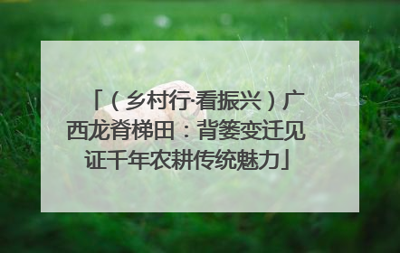 （乡村行·看振兴）广西龙脊梯田：背篓变迁见证千年农耕传统魅力