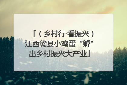 （乡村行·看振兴）江西赣县小鸡蛋“孵”出乡村振兴大产业