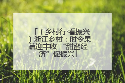 （乡村行·看振兴）浙江乡村：时令果蔬迎丰收 “甜蜜经济”促振兴