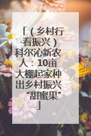 （乡村行·看振兴）科尔沁新农人：10亩大棚起家种出乡村振兴“甜蜜果”