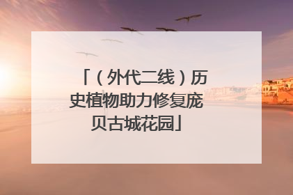 （外代二线）历史植物助力修复庞贝古城花园