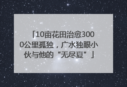 10亩花田治愈3000公里孤独，广水独眼小伙与他的“无尽夏”