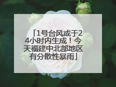 1号台风或于24小时内生成！今天福建中北部地区有分散性暴雨