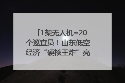 1架无人机=20个巡查员！山东低空经济“硬核王炸”亮相青岛，下一个万亿赛道藏在这里