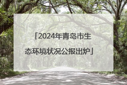 2024年青岛市生态环境状况公报出炉