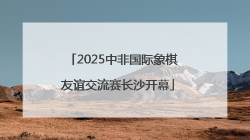 2025中非国际象棋友谊交流赛长沙开幕