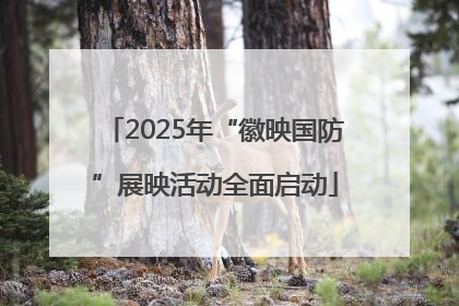 2025年“徽映国防”展映活动全面启动