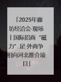 2025年廊坊经洽会·现场丨国际招商“磁力”足 外商争相向河北推介项目