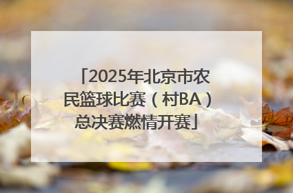 2025年北京市农民篮球比赛（村BA）总决赛燃情开赛