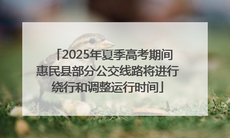 2025年夏季高考期间惠民县部分公交线路将进行绕行和调整运行时间
