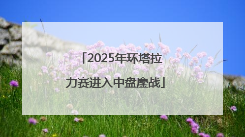 2025年环塔拉力赛进入中盘鏖战