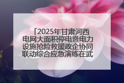 2025年甘肃河西电网大面积停电暨电力设施抢险救援政企协同联动综合应急演练在武威成功举行