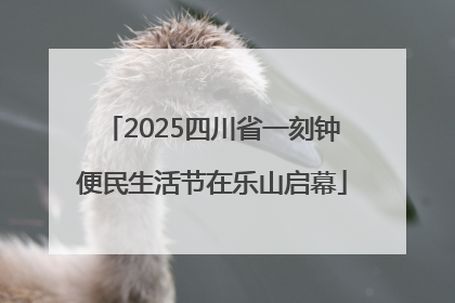 2025四川省一刻钟便民生活节在乐山启幕