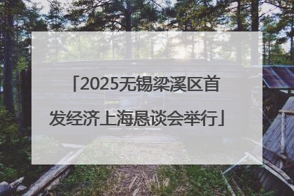 2025无锡梁溪区首发经济上海恳谈会举行
