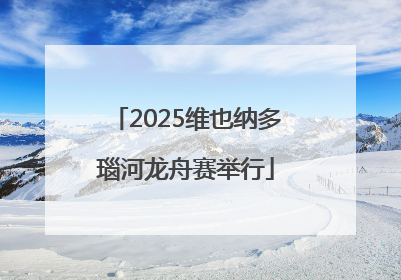 2025维也纳多瑙河龙舟赛举行