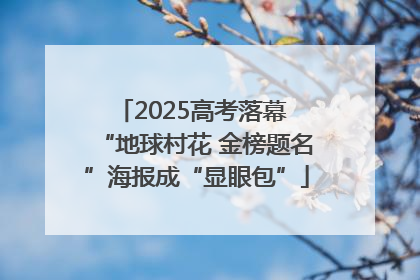 2025高考落幕 “地球村花 金榜题名”海报成“显眼包”