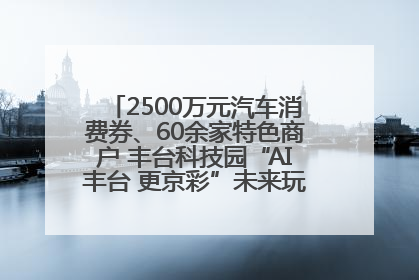 2500万元汽车消费券、60余家特色商户 丰台科技园“AI丰台 更京彩”未来玩家市集活动正式开幕