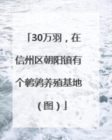30万羽，在信州区朝阳镇有个鹌鹑养殖基地（图）