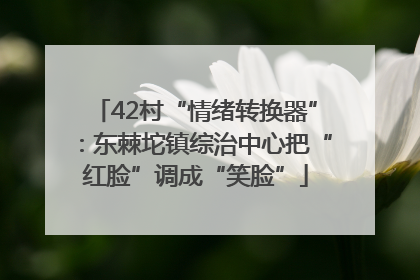 42村“情绪转换器”：东棘坨镇综治中心把“红脸”调成“笑脸”