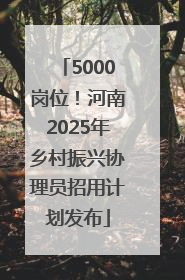 5000岗位！河南2025年乡村振兴协理员招用计划发布