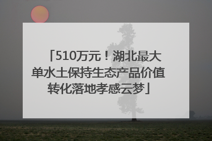 510万元！湖北最大单水土保持生态产品价值转化落地孝感云梦