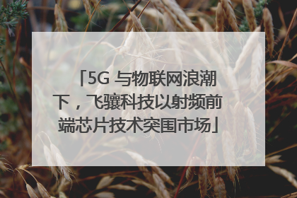 5G 与物联网浪潮下，飞骧科技以射频前端芯片技术突围市场