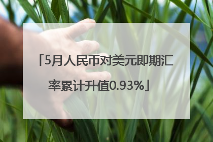 5月人民币对美元即期汇率累计升值0.93%
