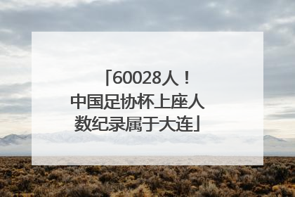 60028人！中国足协杯上座人数纪录属于大连