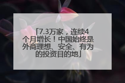 7.3万家，连续4个月增长！中国始终是外商理想、安全、有为的投资目的地