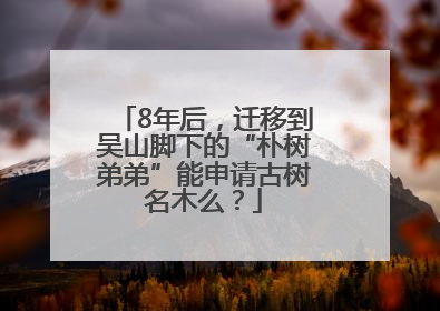 8年后，迁移到吴山脚下的“朴树弟弟”能申请古树名木么？