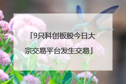 9只科创板股今日大宗交易平台发生交易