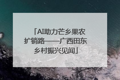 AI助力芒乡果农扩销路——广西田东乡村振兴见闻